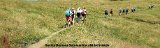 P1002827 copie
