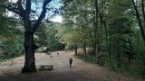 20260806_155354-Munsteraeckerle