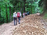 Rando CV 06-08-2026 (6)