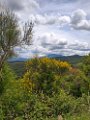 Vaison St Siffrein 05)